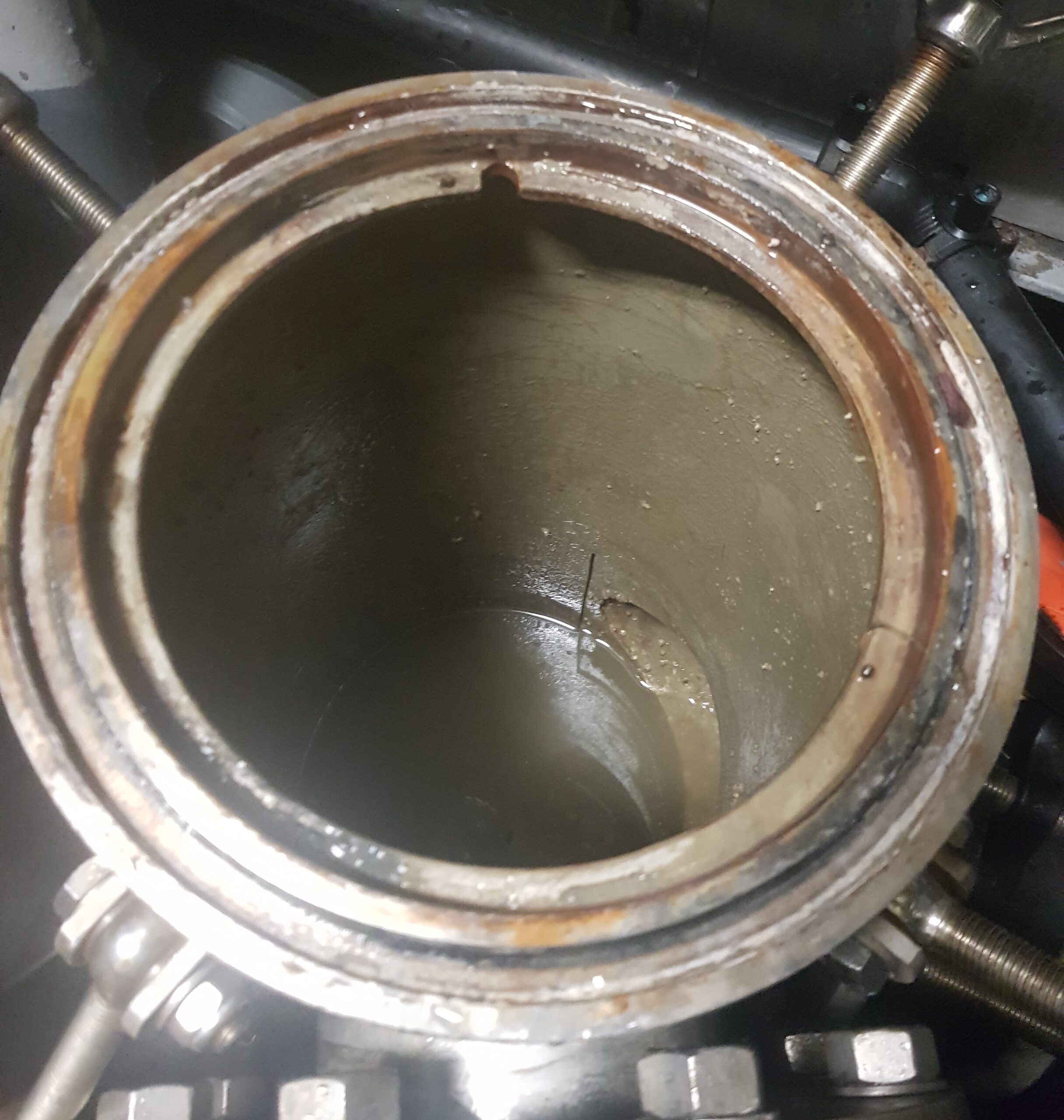 antifouling and biofilm