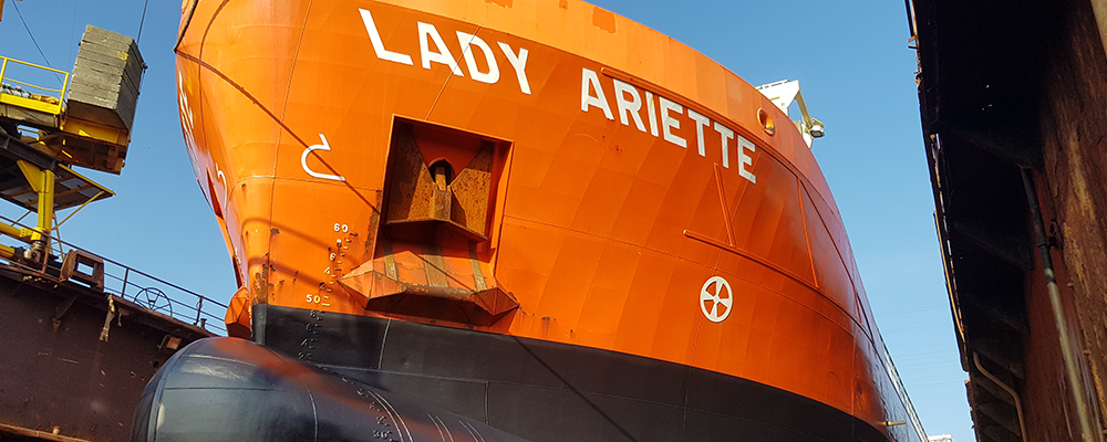 Duurzaamheid met Ultrasoon Anti-Fouling