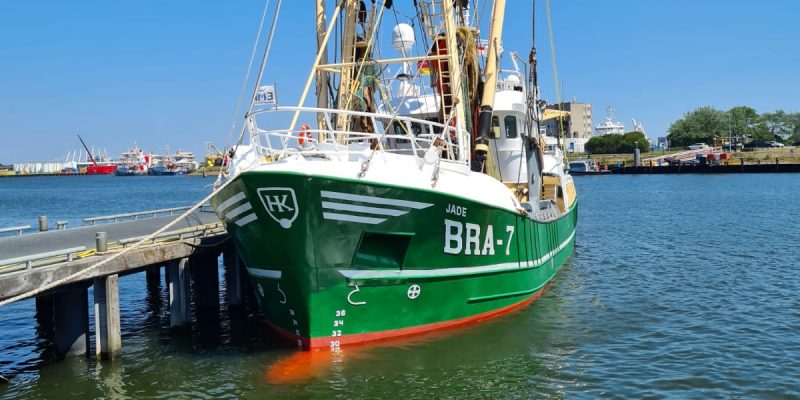 IMG-20200626-WA0007 (1)