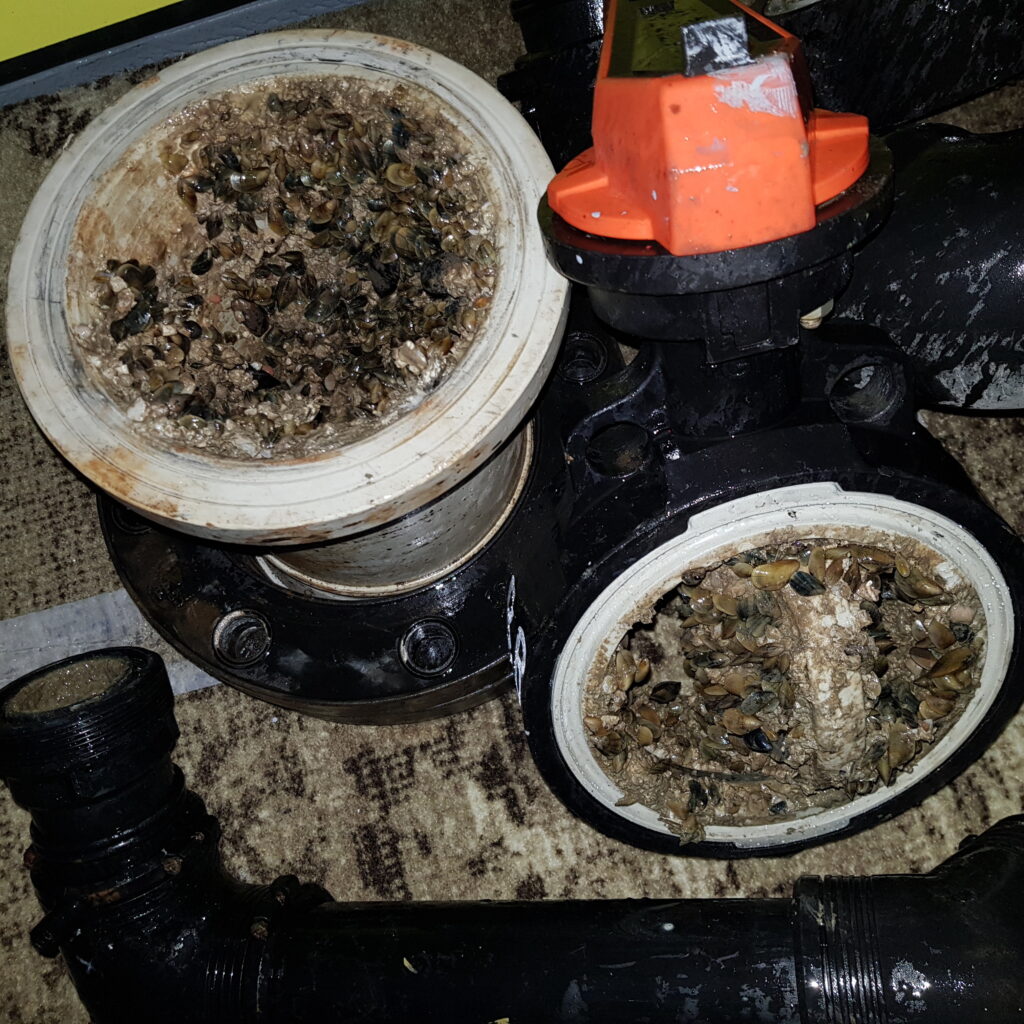 what antifouling to use